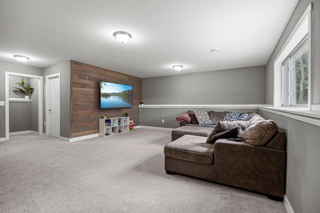 13143 Jefferson St, Becker, MN 55308 - carpeted living area featuring wooden walls and baseboards