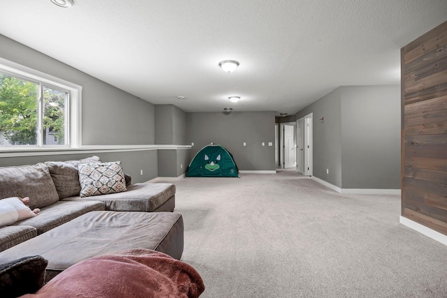 13143 Jefferson St, Becker, MN 55308 - carpeted living room featuring baseboards and a textured ceiling