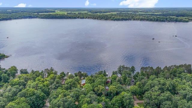 17364 Paradise Shores Rd, Brainerd, MN 56401 - photo 29