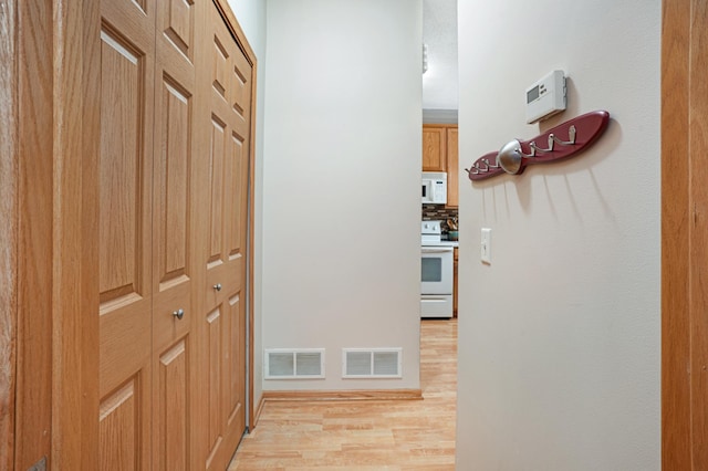 14301 Banyan Ln, Rosemount, MN 55068 - hall featuring light wood-style flooring