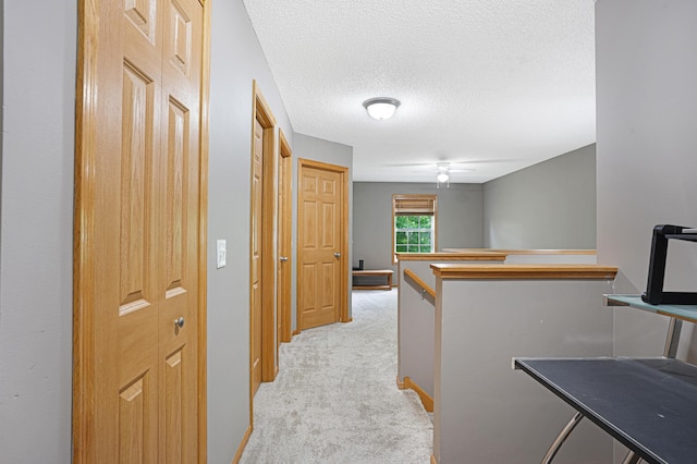 14301 Banyan Ln, Rosemount, MN 55068 - hall featuring light carpet, an upstairs landing, and a textured ceiling