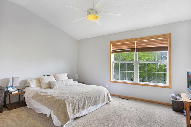 14301 Banyan Ln, Rosemount, MN 55068 - bedroom featuring carpet floors, vaulted ceiling, and a ceiling fan