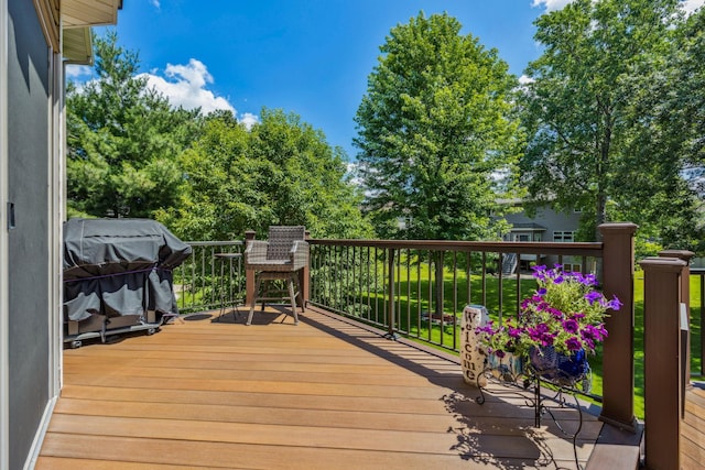 1254 129th Ln NW, Coon Rapids, MN 55448 - deck featuring grilling area
