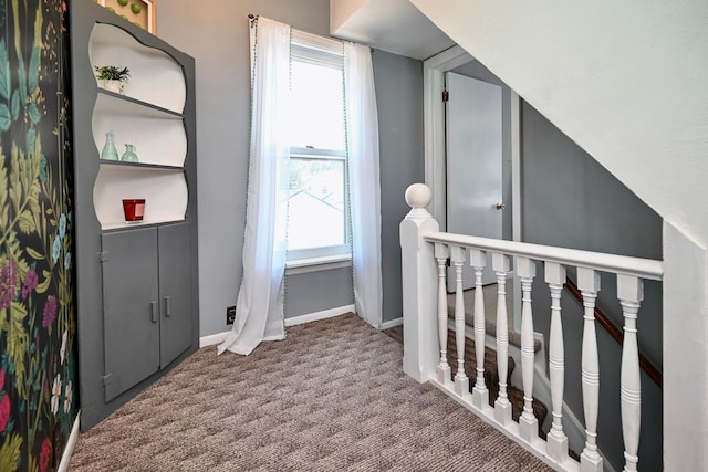 366 Kansas St, Winona, MN 55987 - stairs featuring carpet floors and baseboards