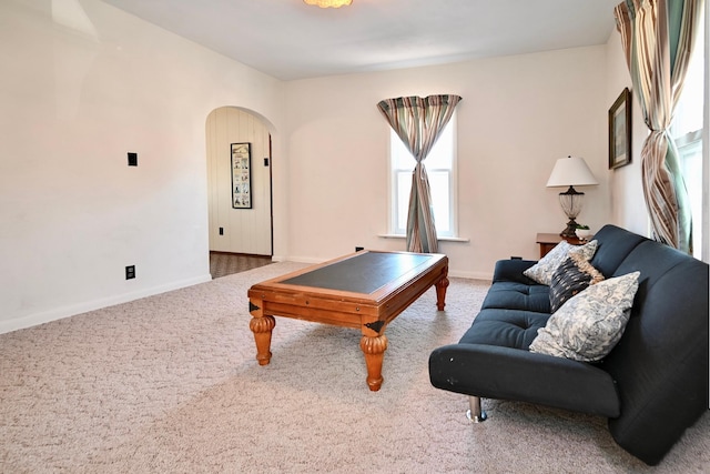 366 Kansas St, Winona, MN 55987 - carpeted living area featuring arched walkways and baseboards