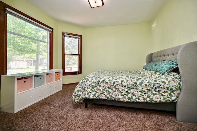 366 Kansas St, Winona, MN 55987 - bedroom featuring dark colored carpet