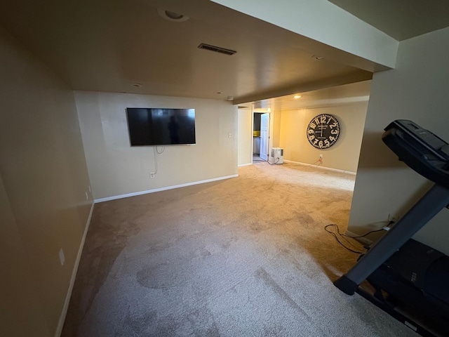 207 Meadow Ln, Benson, MN 56215 - unfurnished living room with carpet and baseboards