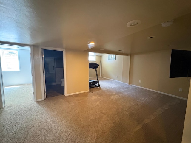 207 Meadow Ln, Benson, MN 56215 - below grade area with carpet and plenty of natural light