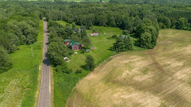 W13263 Hutchinson Rd, Big Bend Twp, WI 54819 - overview of rural landscape with a forest