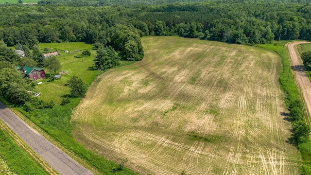 W13263 Hutchinson Rd, Big Bend Twp, WI 54819 - view of rural area featuring a heavily wooded area