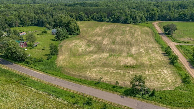 W13263 Hutchinson Rd, Big Bend Twp, WI 54819 - aerial overview of property's location with rural landscape and a forest