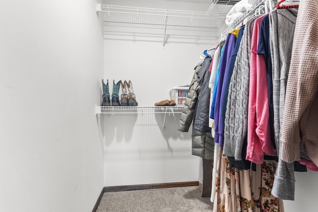 888 Tallgrass Ct, Wanamingo, MN 55983 - walk in closet with carpet flooring