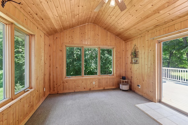 12020 County Road 30, Waconia Twp, MN 55387 - photo 17