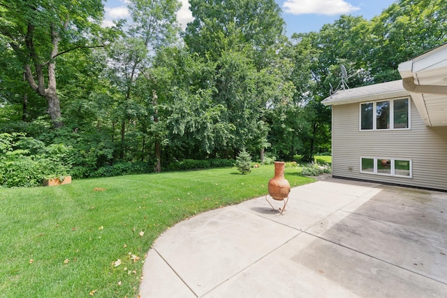 12020 County Road 30, Waconia Twp, MN 55387 - photo 34