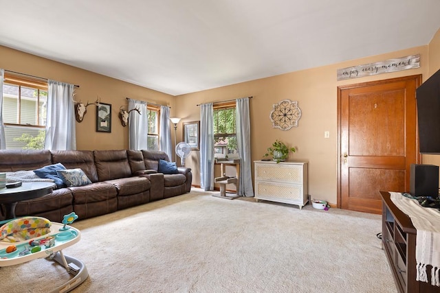 206 4th St, Montevideo, MN 56265 - photo 18