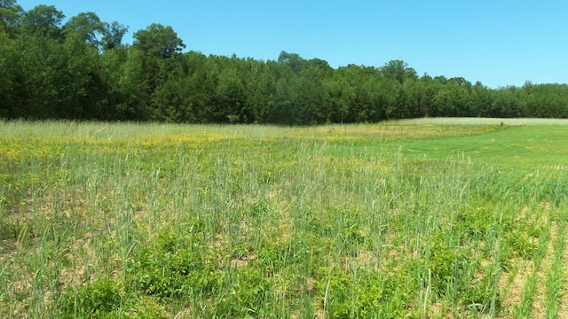 LOT8 Maple Ln, Siren, WI 54872 - photo 4