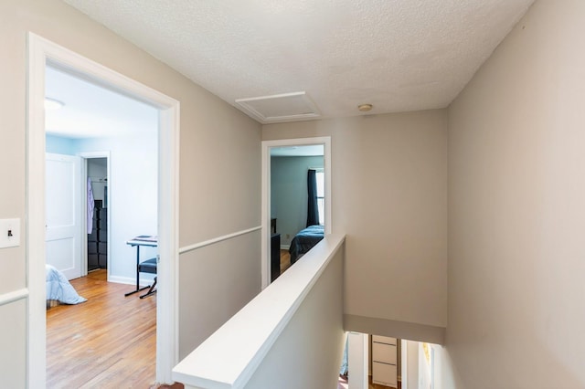 1290 Matilda St, Saint Paul, MN 55117 - hall with light wood-type flooring, attic access, an upstairs landing, and a textured ceiling