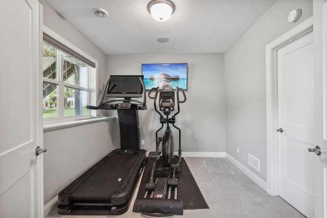4233 Halstead Bay Alcove, Minnetrista, MN 55331 - exercise room with a textured ceiling and carpet floors
