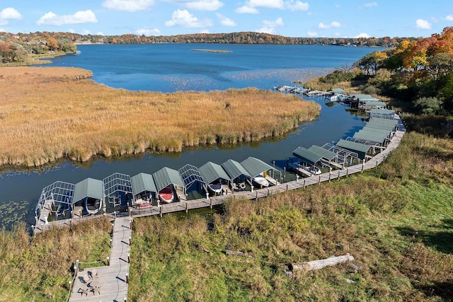 4233 Halstead Bay Alcove, Minnetrista, MN 55331 - aerial view of a nearby body of water
