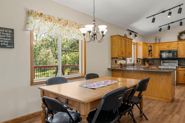 4508 192nd St, Fair Haven Twp, MN 55382 - dining room with a chandelier, rail lighting, and light wood-style floors