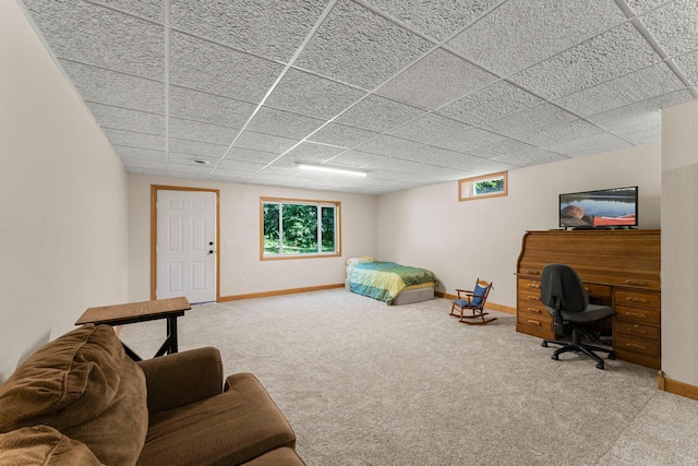 4508 192nd St, Fair Haven Twp, MN 55382 - bedroom featuring carpet flooring, a paneled ceiling, and multiple windows