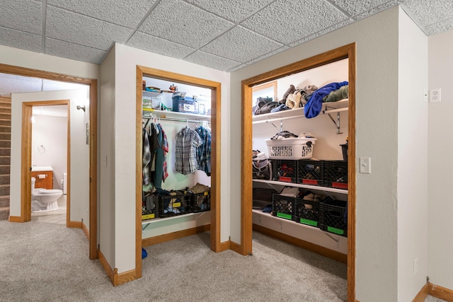 4508 192nd St, Fair Haven Twp, MN 55382 - view of closet