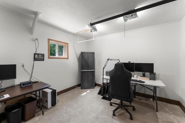 4508 192nd St, Fair Haven Twp, MN 55382 - home office featuring light colored carpet, a textured ceiling, and attic access