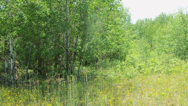 LOT9 Maple Ln, Siren, WI 54872 - photo 3