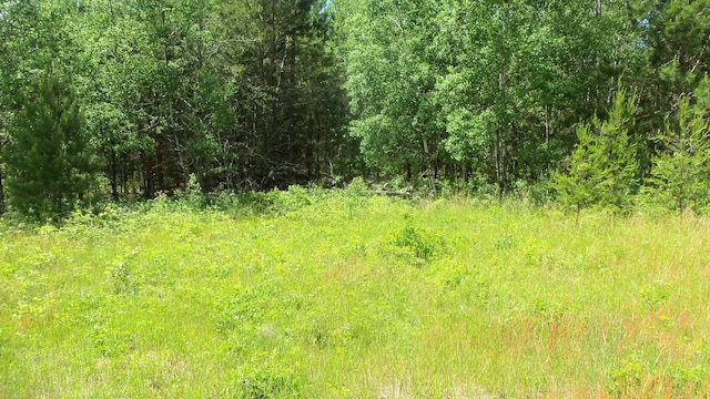 LOT9 Maple Ln, Siren, WI 54872 - photo 4