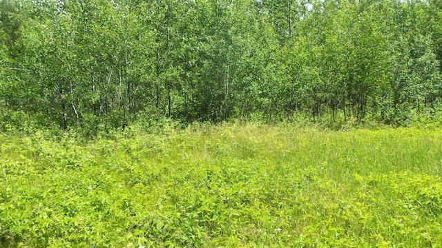LOT9 Maple Ln, Siren, WI 54872 - photo 5