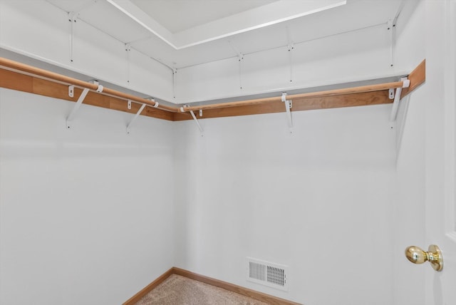 6617 378th St, North Branch, MN 55056 - spacious closet featuring carpet