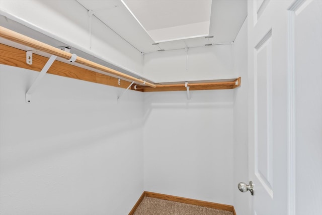 6617 378th St, North Branch, MN 55056 - walk in closet with carpet