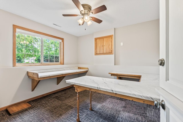 6617 378th St, North Branch, MN 55056 - miscellaneous room with a ceiling fan and dark carpet