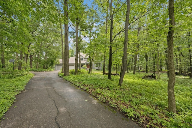 14601 Morgan Ave N, May Twp, MN 55047 - photo 1