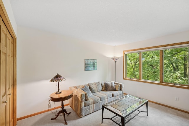 14601 Morgan Ave N, May Twp, MN 55047 - photo 36