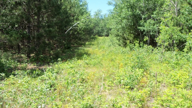 LOT10 Maple Ln, Siren, WI 54872 - photo 4