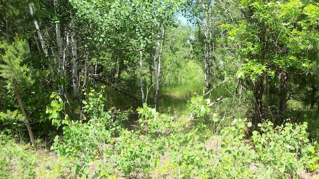 LOT10 Maple Ln, Siren, WI 54872 - photo 5