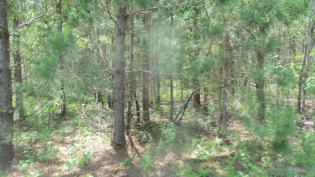 LOT10 Maple Ln, Siren, WI 54872 - photo 6