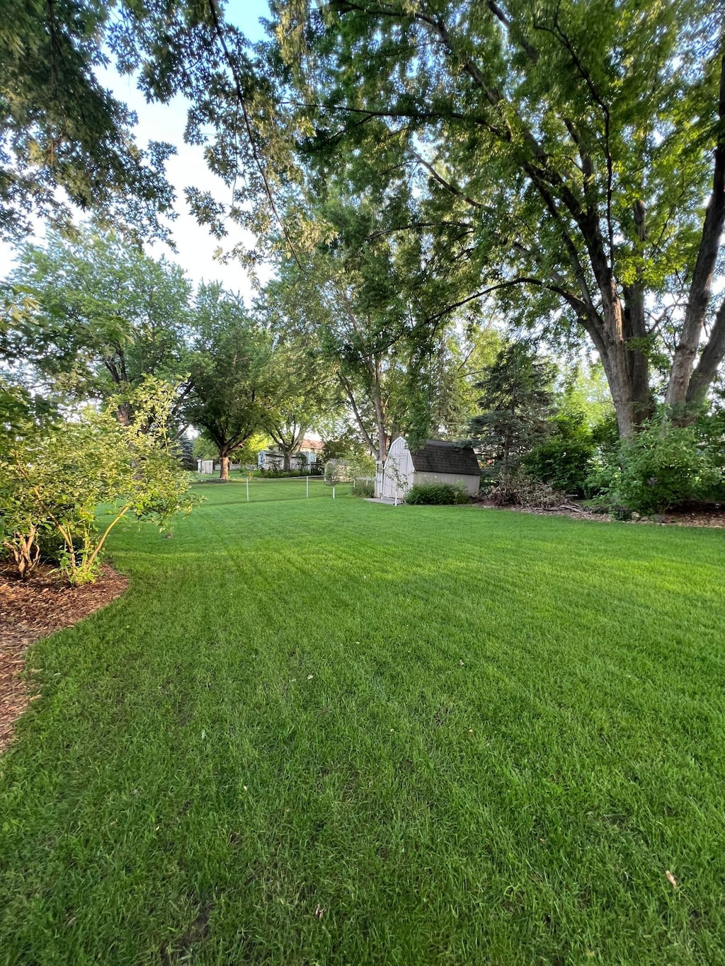5603 25th Ave NW, Rochester, MN 55901 - view of grassy yard with an outdoor structure