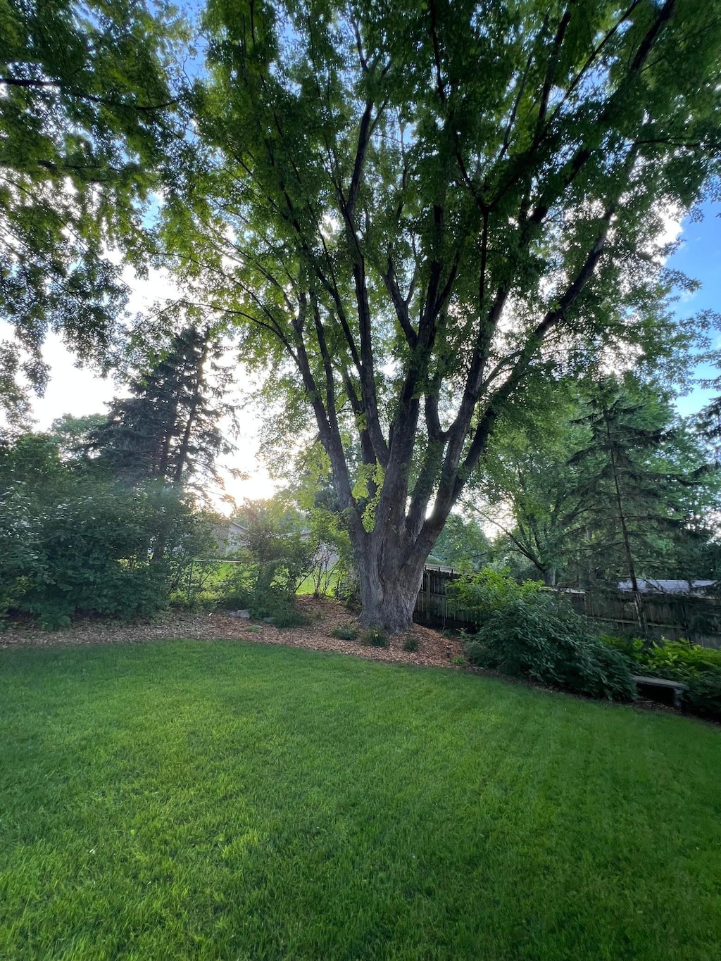 5603 25th Ave NW, Rochester, MN 55901 - view of yard