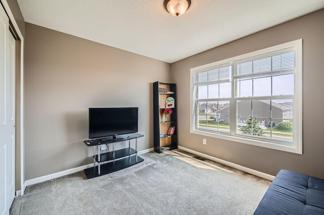 1535 138th St E, Rosemount, MN 55068 - living area with baseboards and carpet flooring