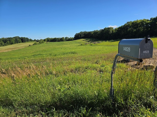 14828 70th St S, Denmark Twp, MN 55033 - photo 1