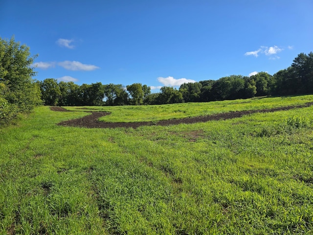 14828 70th St S, Denmark Twp, MN 55033 - photo 3