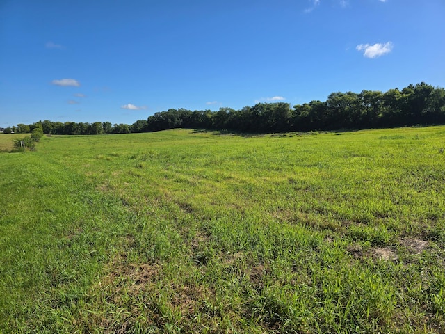 14828 70th St S, Denmark Twp, MN 55033 - photo 5