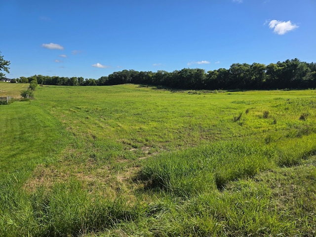 14828 70th St S, Denmark Twp, MN 55033 - photo 6