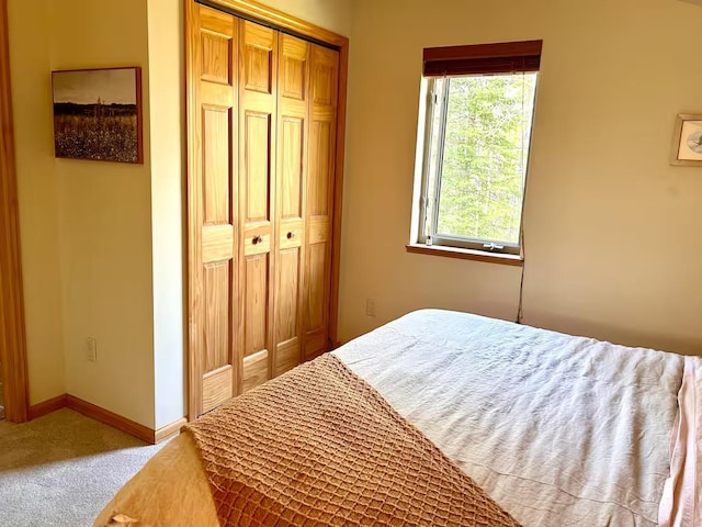 4118 Tall Timber Ln SW, Grant Valley Twp, MN 56601 - photo 13