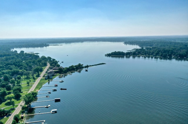 8112 Shore Trl N, Forest Lake, MN 55025 - bird's eye view of a large body of water