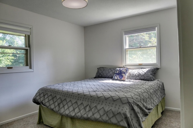 8112 Shore Trl N, Forest Lake, MN 55025 - bedroom with carpet and multiple windows
