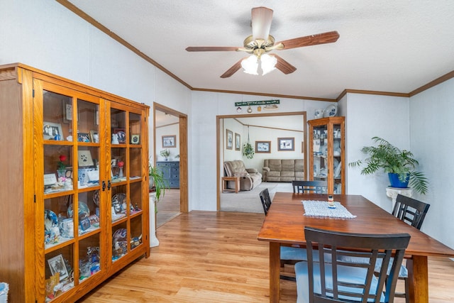 27656 170th Ave SW, Gentilly Twp, MN 56716 - photo 6