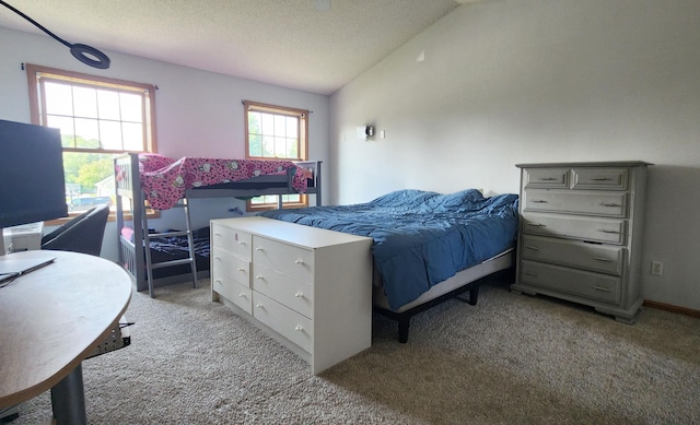 21245 123rd Ave N, Rogers, MN 55374 - photo 9